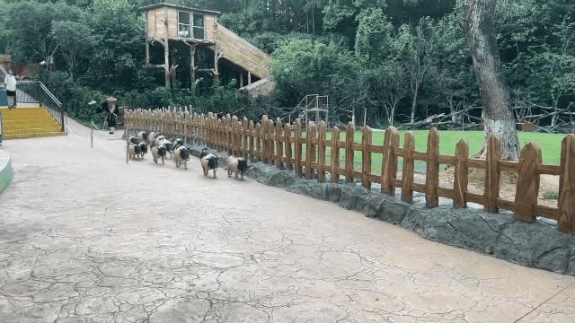 DƬ